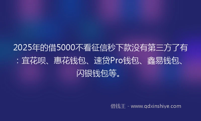 2025年的借5000不看征信秒下款没有第三方了有：宜花呗、惠花钱包、速贷Pro钱包、鑫易钱包、闪银钱包等。
