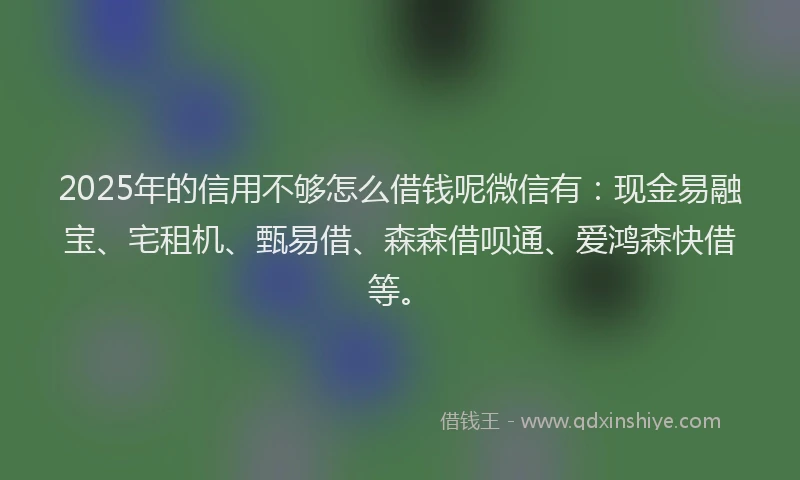 2025年的信用不够怎么借钱呢微信有：现金易融宝、宅租机、甄易借、森森借呗通、爱鸿森快借等。