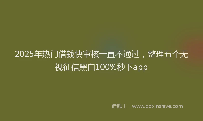 2025年热门借钱快审核一直不通过，整理五个无视征信黑白100%秒下app