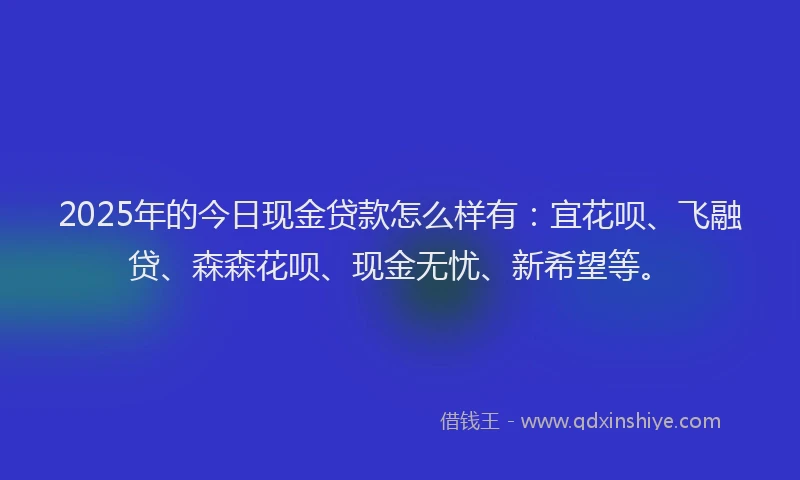 2025年的今日现金贷款怎么样有：宜花呗、飞融贷、森森花呗、现金无忧、新希望等。