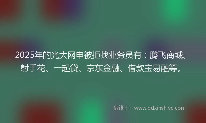 2025年的光大网申被拒找业务员有：腾飞商城、射手花、一起贷、京东金融、借款宝易融等。