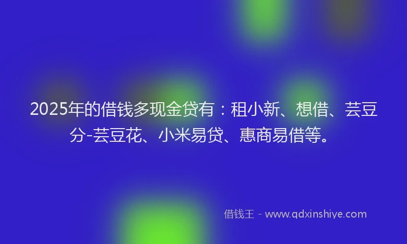 2025年的借钱多现金贷有：租小新、想借、芸豆分-芸豆花、小米易贷、惠商易借等。