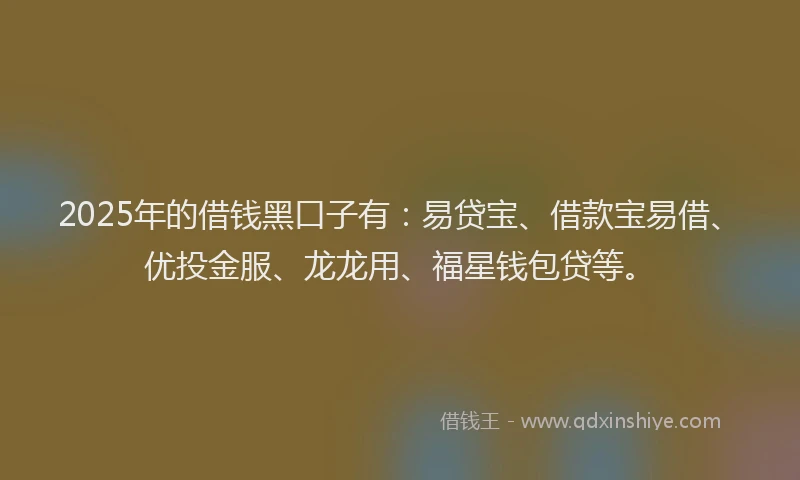 2025年的借钱黑口子有：易贷宝、借款宝易借、优投金服、龙龙用、福星钱包贷等。