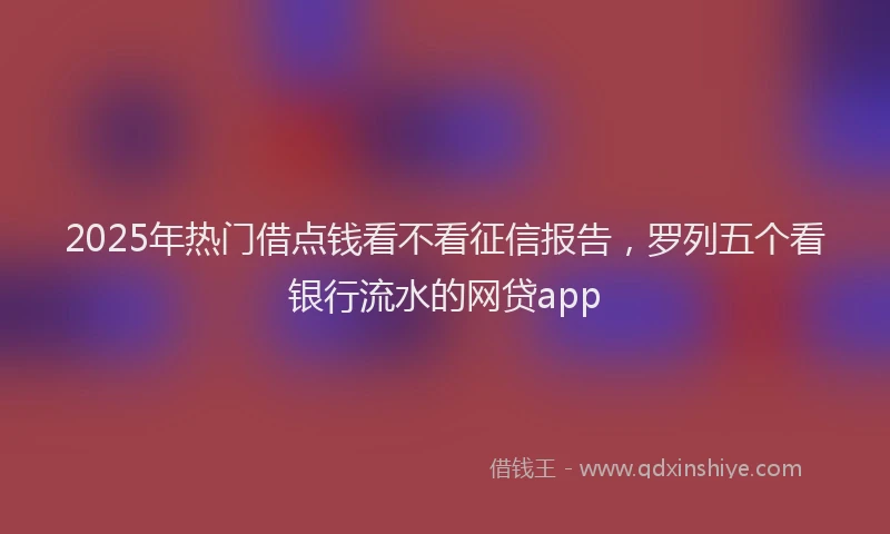 2025年热门借点钱看不看征信报告，罗列五个看银行流水的网贷app