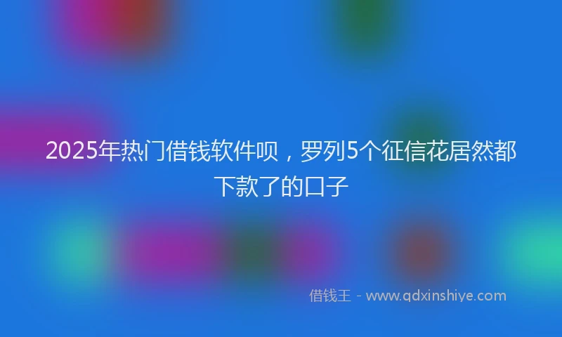 2025年热门借钱软件呗，罗列5个征信花居然都下款了的口子