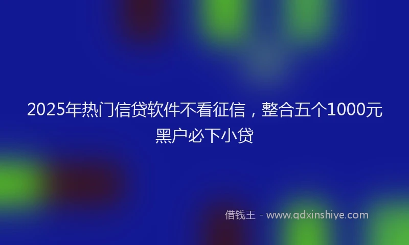 2025年热门信贷软件不看征信，整合五个1000元黑户必下小贷