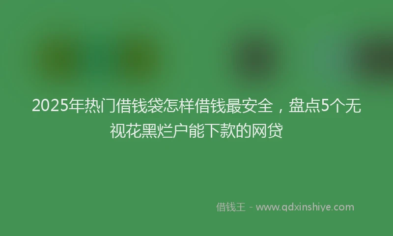 2025年热门借钱袋怎样借钱最安全，盘点5个无视花黑烂户能下款的网贷
