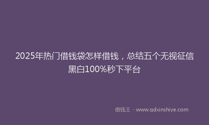 2025年热门借钱袋怎样借钱，总结五个无视征信黑白100%秒下平台