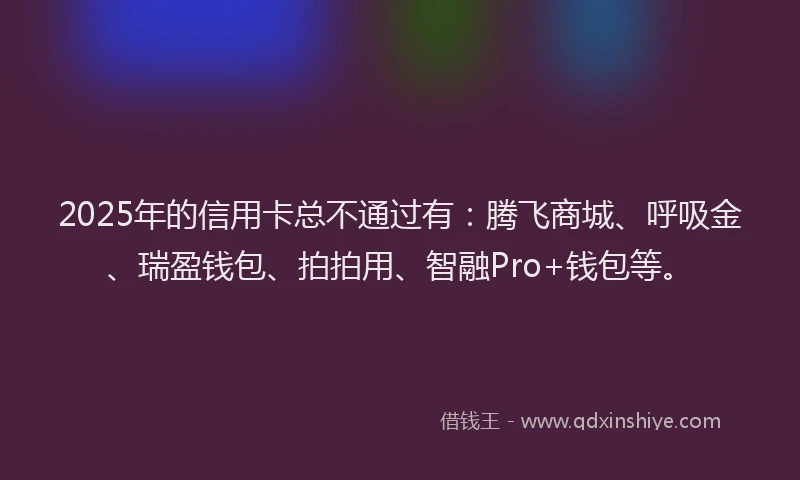 2025年的信用卡总不通过有：腾飞商城、呼吸金、瑞盈钱包、拍拍用、智融Pro+钱包等。