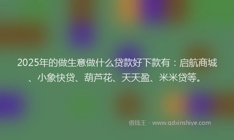 2025年的做生意做什么贷款好下款有：启航商城、小象快贷、葫芦花、天天盈、米米贷等。