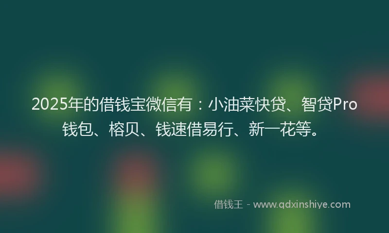2025年的借钱宝微信有：小油菜快贷、智贷Pro钱包、榕贝、钱速借易行、新一花等。