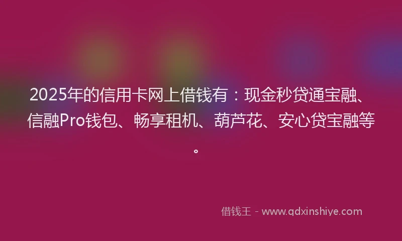 2025年的信用卡网上借钱有：现金秒贷通宝融、信融Pro钱包、畅享租机、葫芦花、安心贷宝融等。