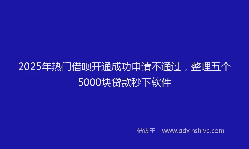 2025年热门借呗开通成功申请不通过，整理五个5000块贷款秒下软件