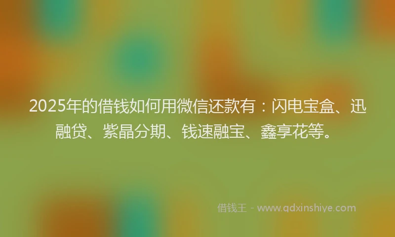 2025年的借钱如何用微信还款有：闪电宝盒、迅融贷、紫晶分期、钱速融宝、鑫享花等。