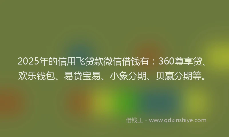 2025年的信用飞贷款微信借钱有：360尊享贷、欢乐钱包、易贷宝易、小象分期、贝赢分期等。