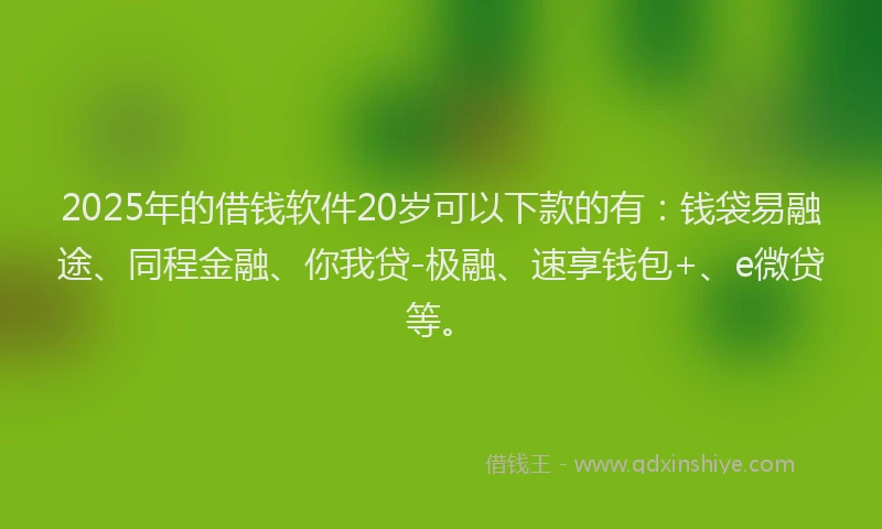 2025年的借钱软件20岁可以下款的有：钱袋易融途、同程金融、你我贷-极融、速享钱包+、e微贷等。