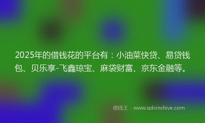 2025年的借钱花的平台有：小油菜快贷、易贷钱包、贝乐享-飞鑫琼宝、麻袋财富、京东金融等。