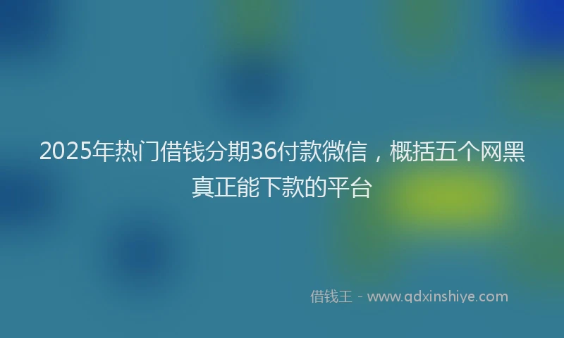 2025年热门借钱分期36付款微信，概括五个网黑真正能下款的平台