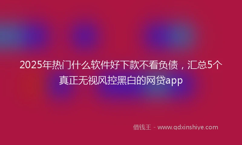2025年热门什么软件好下款不看负债，汇总5个真正无视风控黑白的网贷app