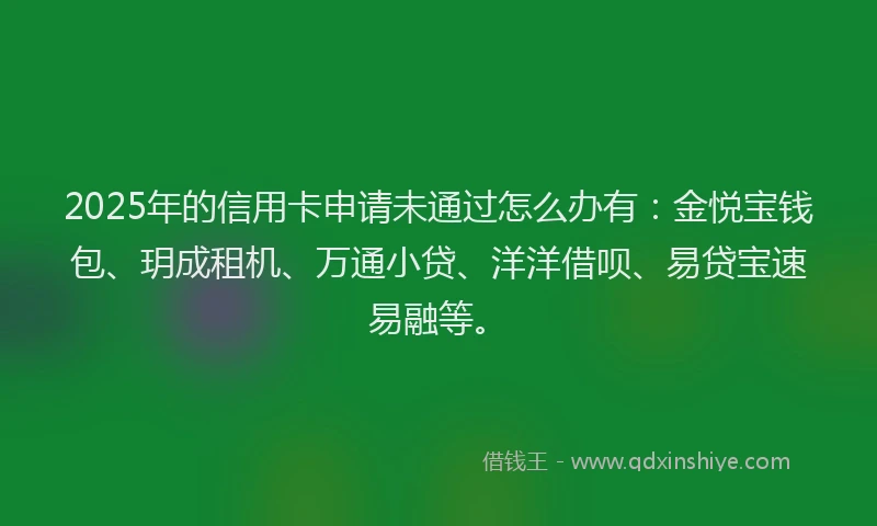 2025年的信用卡申请未通过怎么办有：金悦宝钱包、玥成租机、万通小贷、洋洋借呗、易贷宝速易融等。
