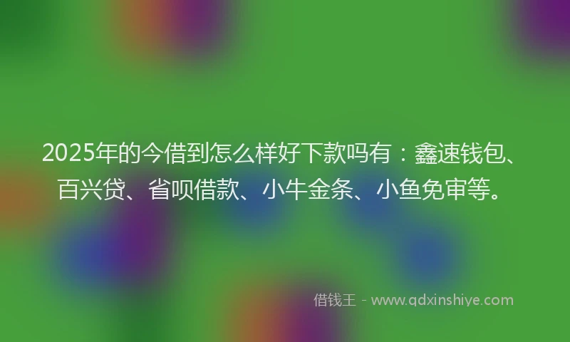 2025年的今借到怎么样好下款吗有：鑫速钱包、百兴贷、省呗借款、小牛金条、小鱼免审等。