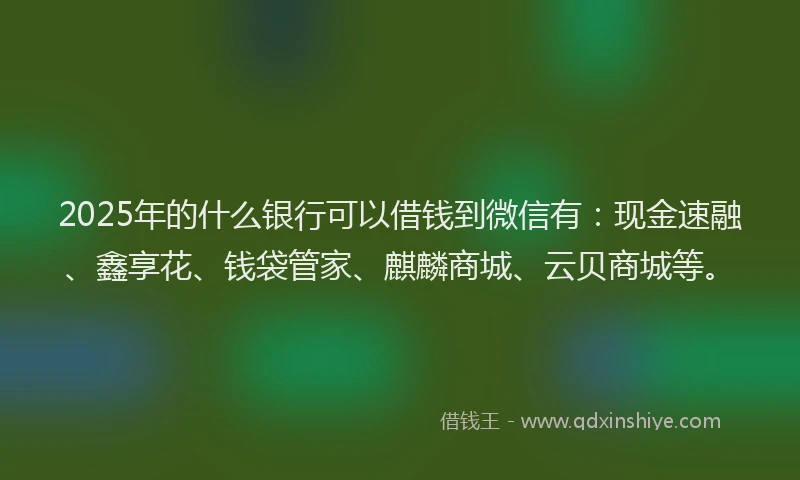 2025年的什么银行可以借钱到微信有：现金速融、鑫享花、钱袋管家、麒麟商城、云贝商城等。