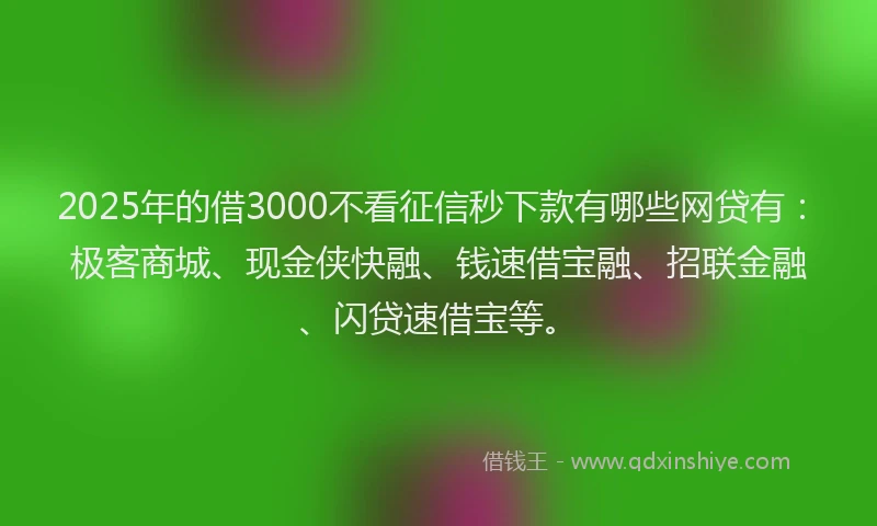 2025年的借3000不看征信秒下款有哪些网贷有：极客商城、现金侠快融、钱速借宝融、招联金融、闪贷速借宝等。