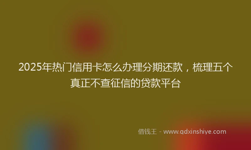 2025年热门信用卡怎么办理分期还款，梳理五个真正不查征信的贷款平台