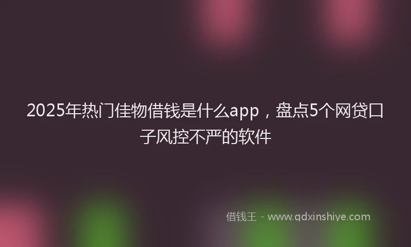 2025年热门佳物借钱是什么app，盘点5个网贷口子风控不严的软件
