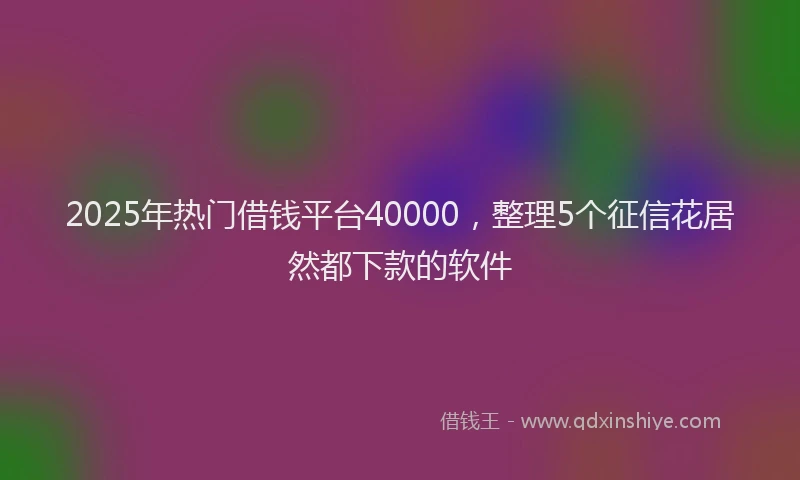 2025年热门借钱平台40000，整理5个征信花居然都下款的软件