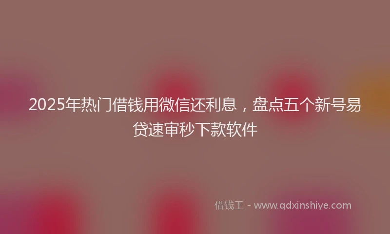 2025年热门借钱用微信还利息，盘点五个新号易贷速审秒下款软件