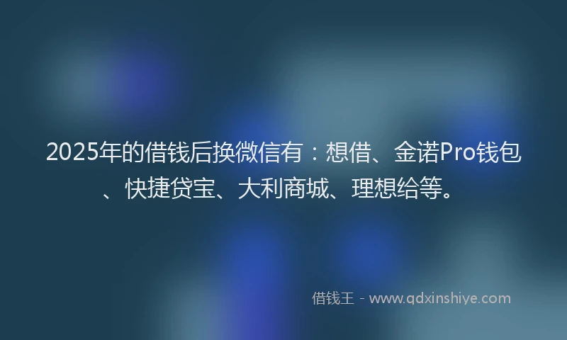 2025年的借钱后换微信有：想借、金诺Pro钱包、快捷贷宝、大利商城、理想给等。