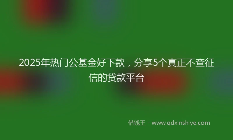 2025年热门公基金好下款，分享5个真正不查征信的贷款平台