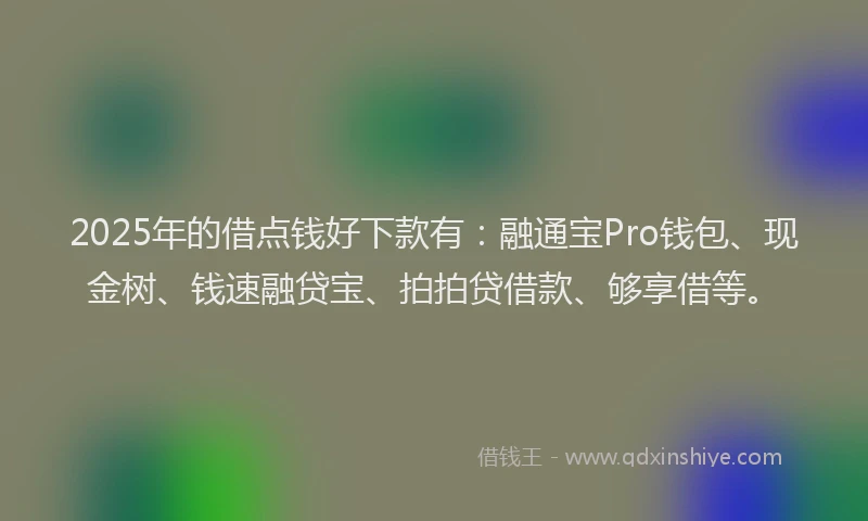 2025年的借点钱好下款有：融通宝Pro钱包、现金树、钱速融贷宝、拍拍贷借款、够享借等。