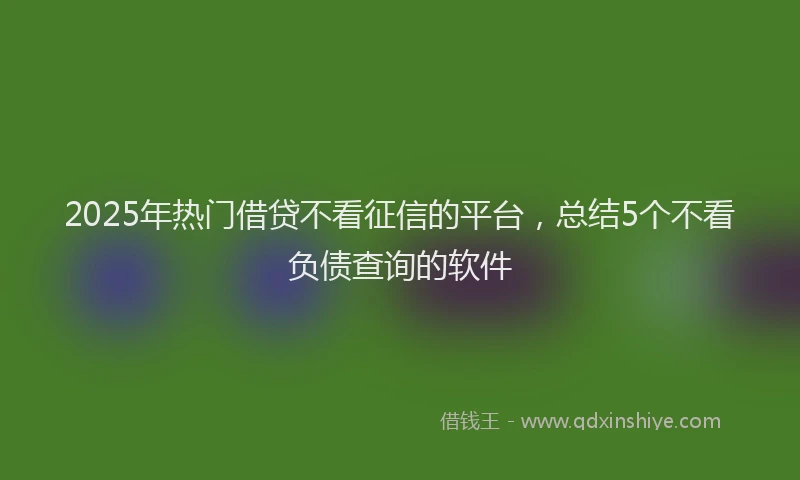 2025年热门借贷不看征信的平台，总结5个不看负债查询的软件