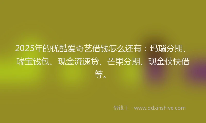 2025年的优酷爱奇艺借钱怎么还有：玛瑙分期、瑞宝钱包、现金流速贷、芒果分期、现金侠快借等。