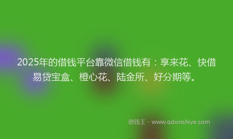 2025年的借钱平台靠微信借钱有：享来花、快借易贷宝盒、橙心花、陆金所、好分期等。