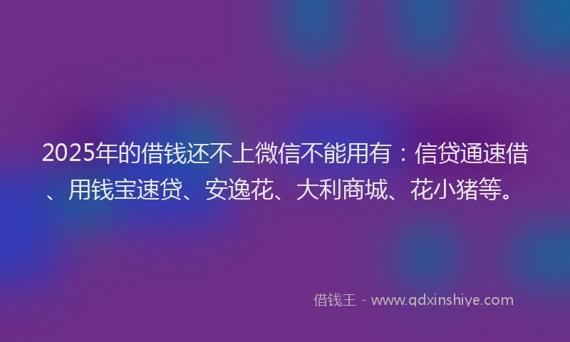 2025年的借钱还不上微信不能用有：信贷通速借、用钱宝速贷、安逸花、大利商城、花小猪等。
