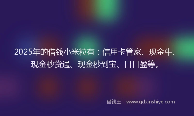 2025年的借钱小米粒有：信用卡管家、现金牛、现金秒贷通、现金秒到宝、日日盈等。