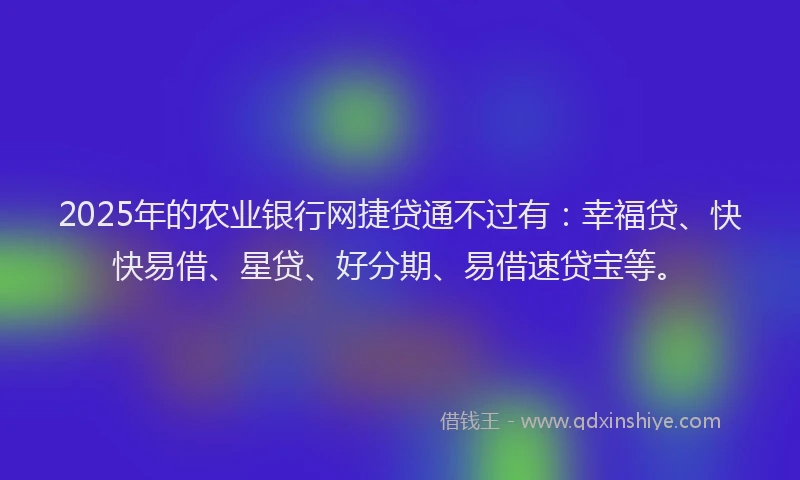2025年的农业银行网捷贷通不过有：幸福贷、快快易借、星贷、好分期、易借速贷宝等。