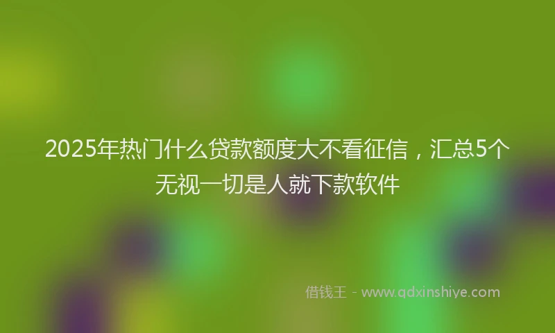 2025年热门什么贷款额度大不看征信，汇总5个无视一切是人就下款软件