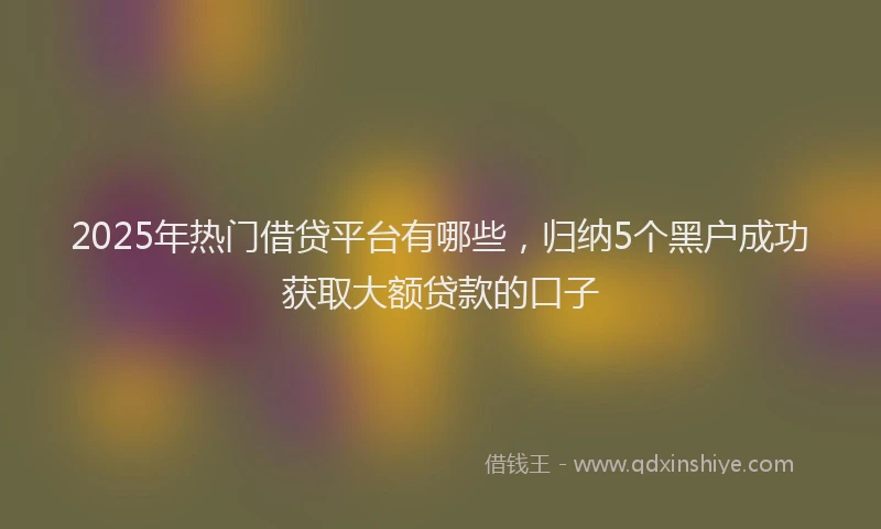2025年热门借贷平台有哪些，归纳5个黑户成功获取大额贷款的口子