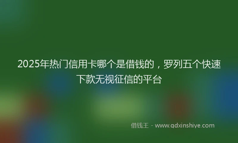 2025年热门信用卡哪个是借钱的，罗列五个快速下款无视征信的平台