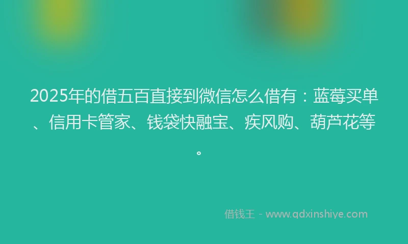 2025年的借五百直接到微信怎么借有：蓝莓买单、信用卡管家、钱袋快融宝、疾风购、葫芦花等。