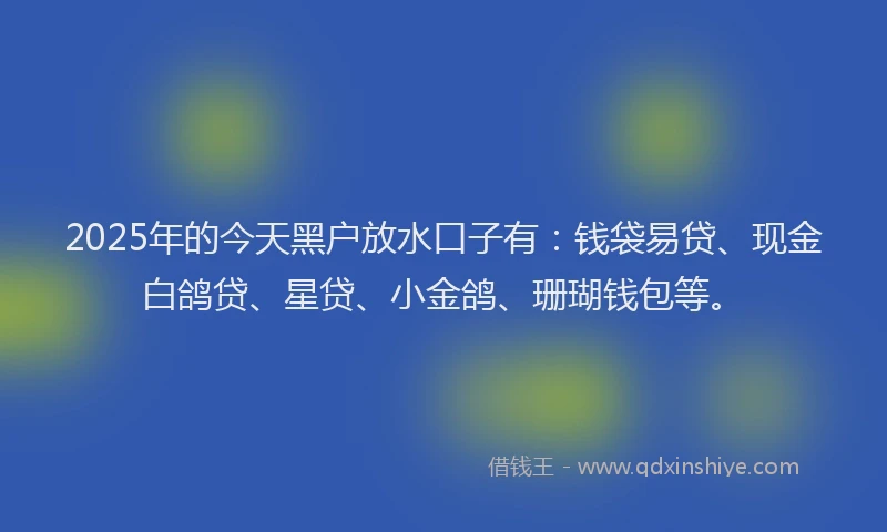 2025年的今天黑户放水口子有：钱袋易贷、现金白鸽贷、星贷、小金鸽、珊瑚钱包等。