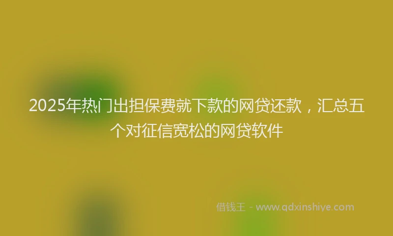 2025年热门出担保费就下款的网贷还款，汇总五个对征信宽松的网贷软件