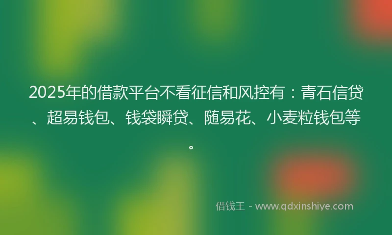 2025年的借款平台不看征信和风控有：青石信贷、超易钱包、钱袋瞬贷、随易花、小麦粒钱包等。