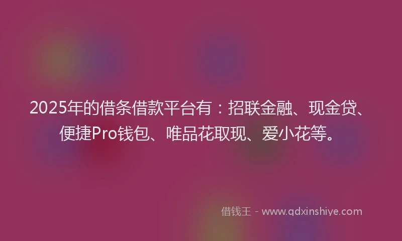 2025年的借条借款平台有：招联金融、现金贷、便捷Pro钱包、唯品花取现、爱小花等。
