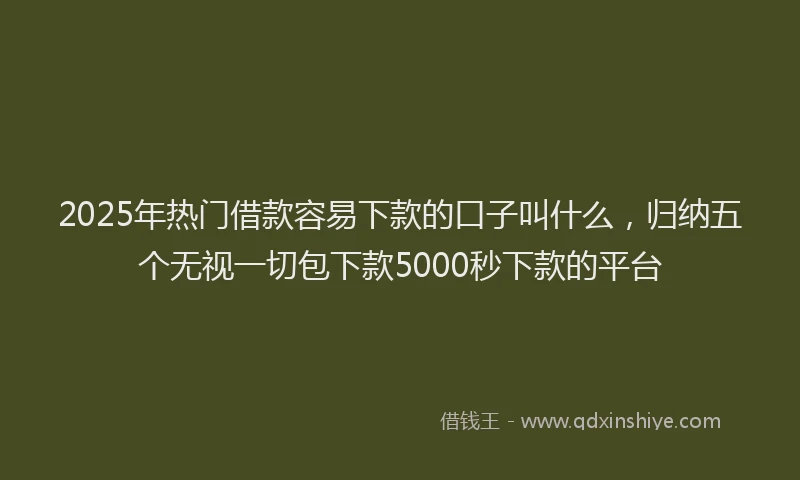 2025年热门借款容易下款的口子叫什么，归纳五个无视一切包下款5000秒下款的平台