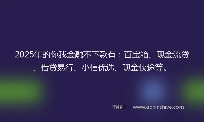 2025年的你我金融不下款有：百宝箱、现金流贷、借贷易行、小信优选、现金侠途等。